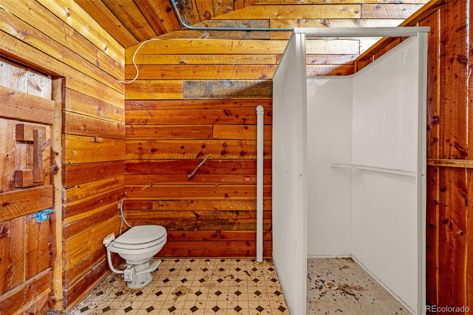 MLS Image #8 for 69  snowberry creek road,florissant, Colorado