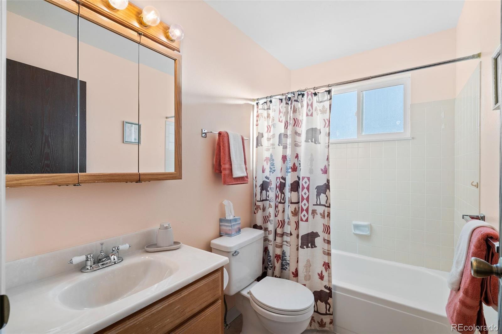 MLS Image #11 for 10685  ross court,westminster, Colorado