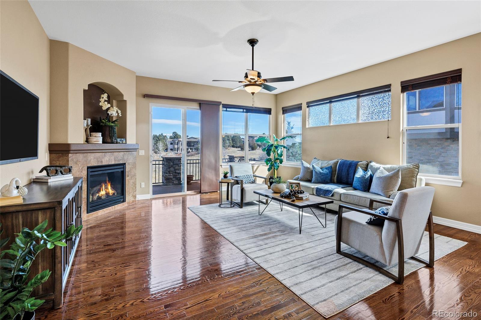 MLS Image #16 for 5220  rialto drive,parker, Colorado