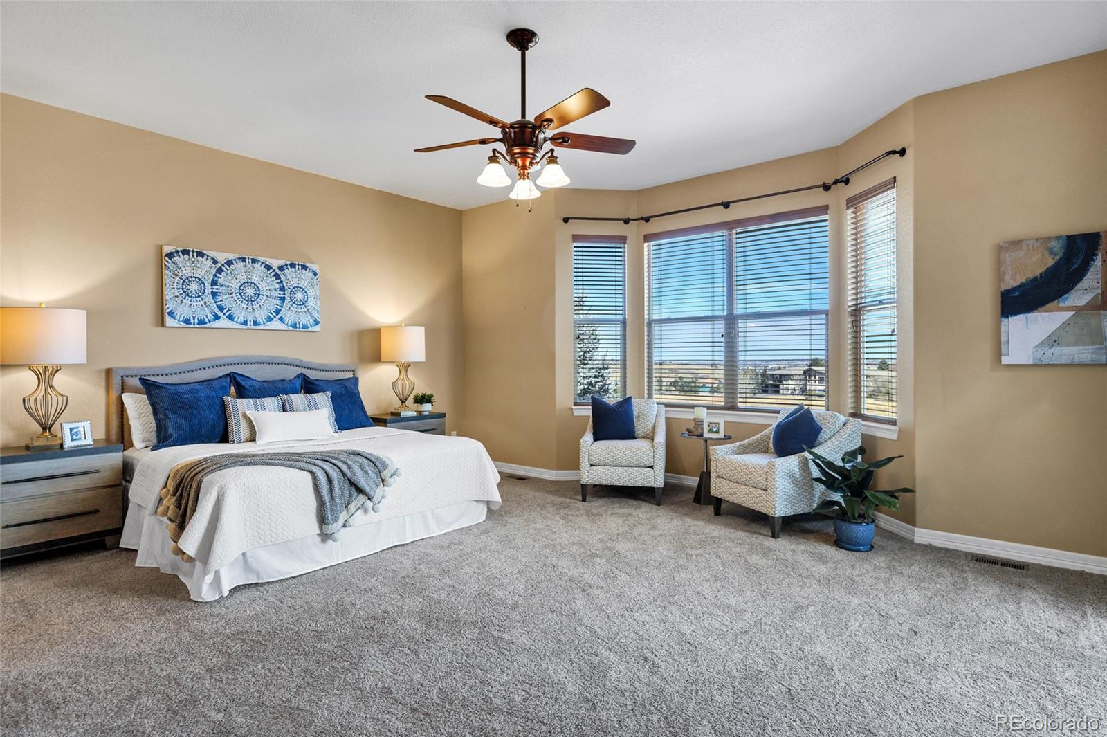 MLS Image #19 for 5220  rialto drive,parker, Colorado