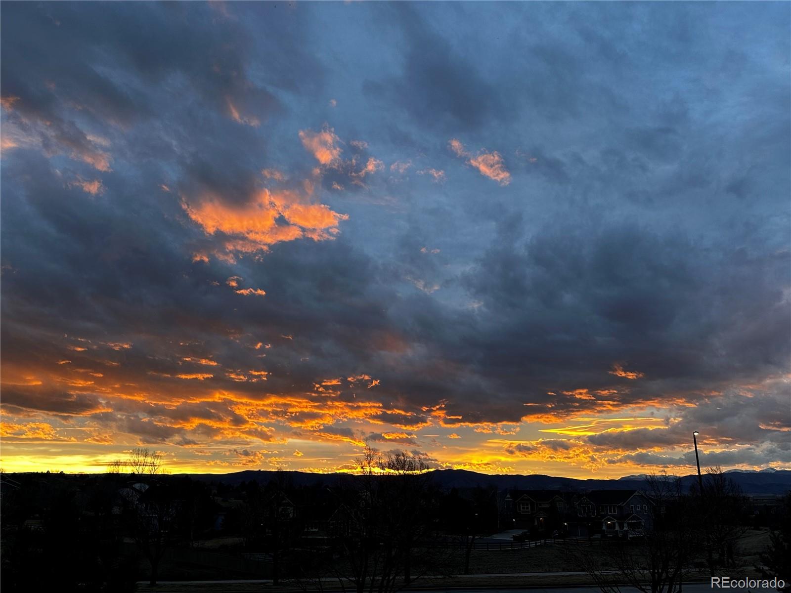 MLS Image #41 for 3945  forever circle,castle rock, Colorado