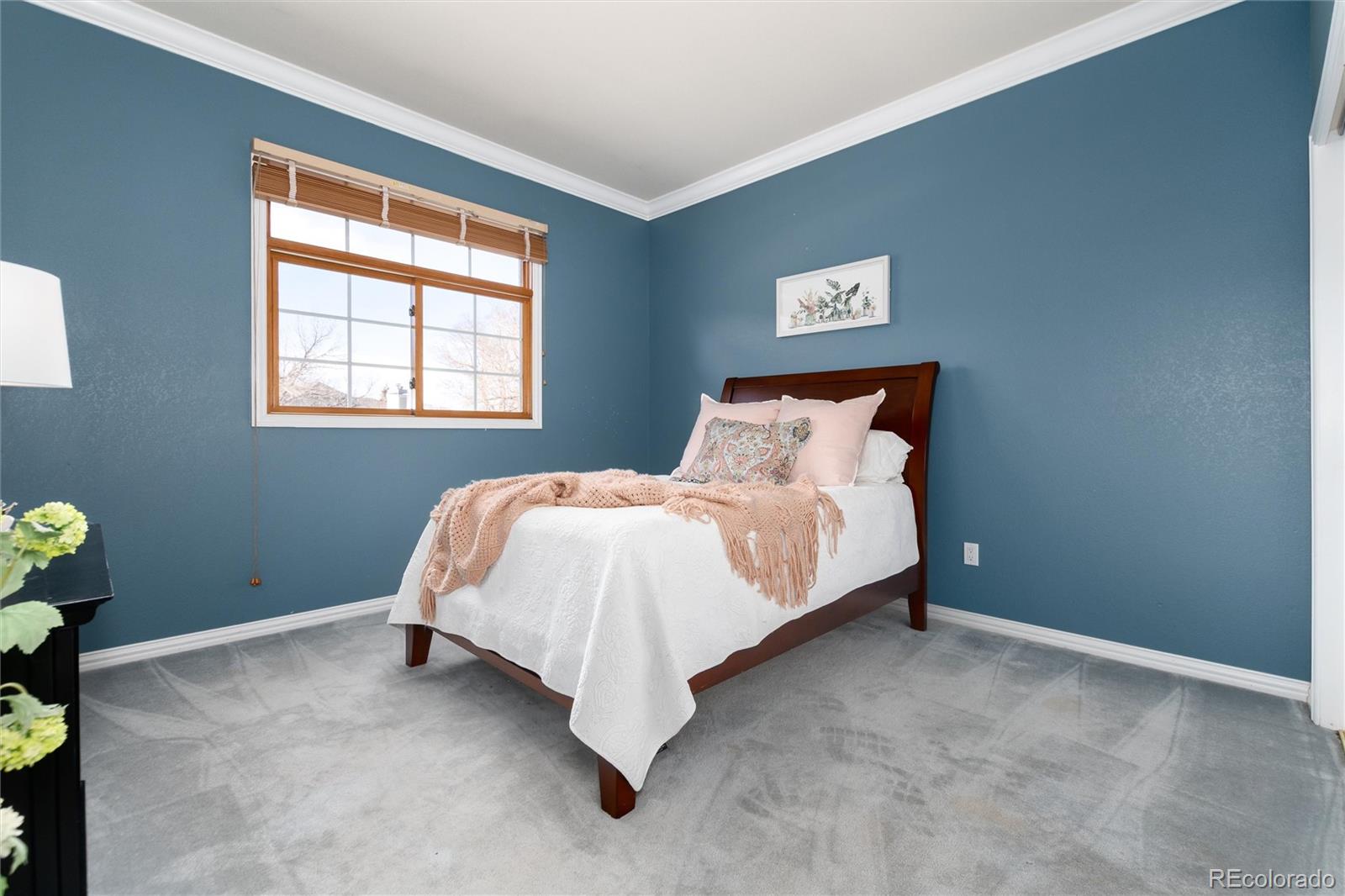 MLS Image #38 for 4  amaranth drive,littleton, Colorado