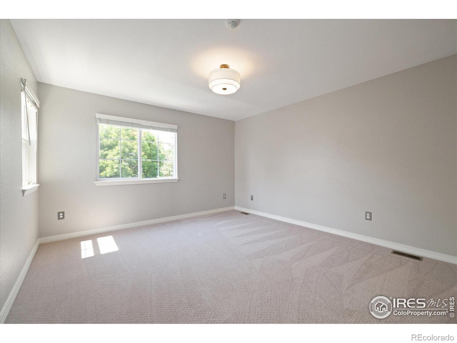 MLS Image #21 for 805  summer hawk drive,longmont, Colorado