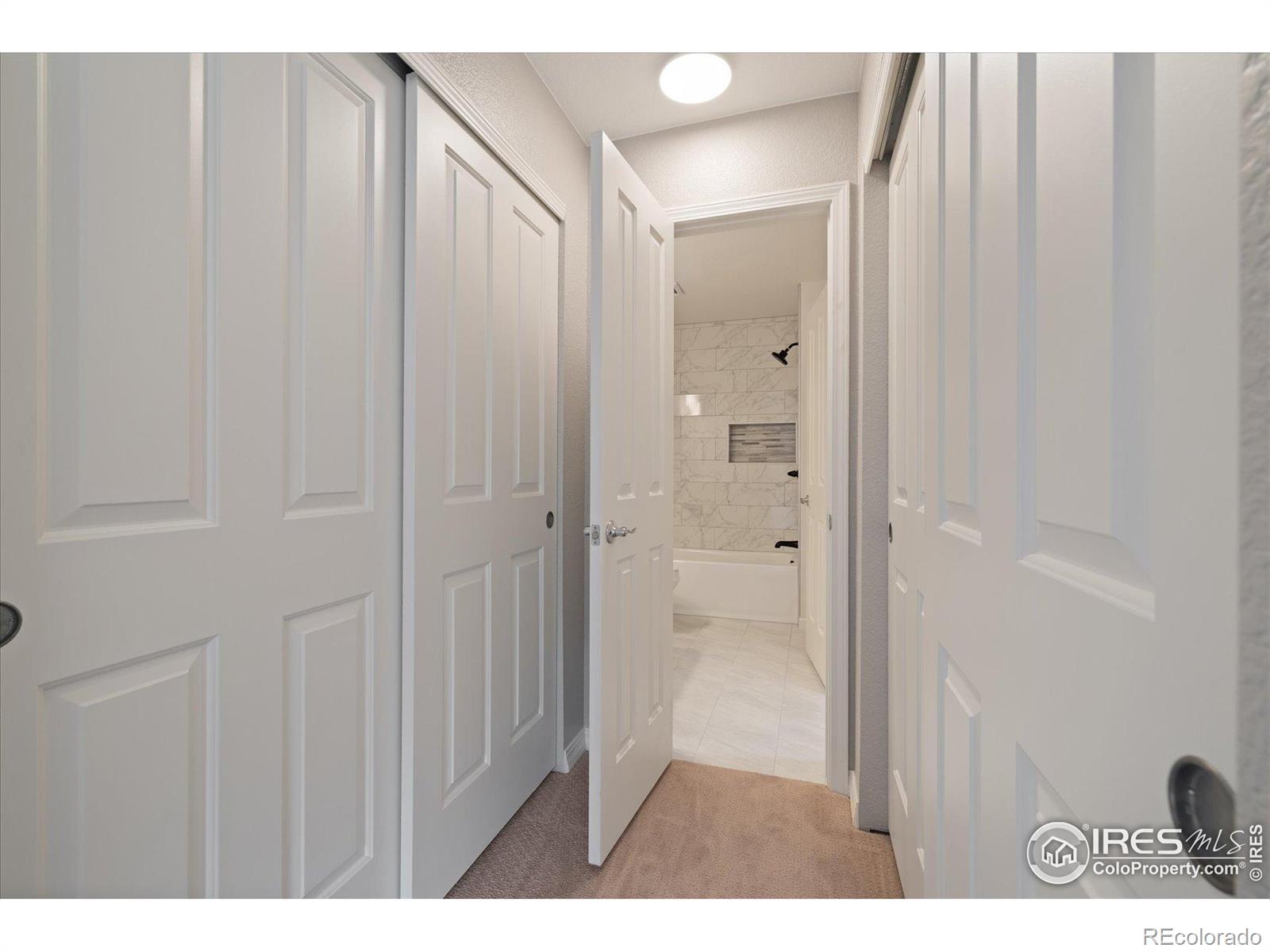 MLS Image #25 for 805  summer hawk drive,longmont, Colorado