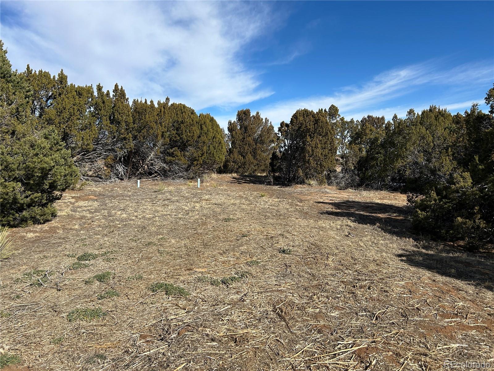 MLS Image #19 for 250  mt mestas drive,walsenburg, Colorado