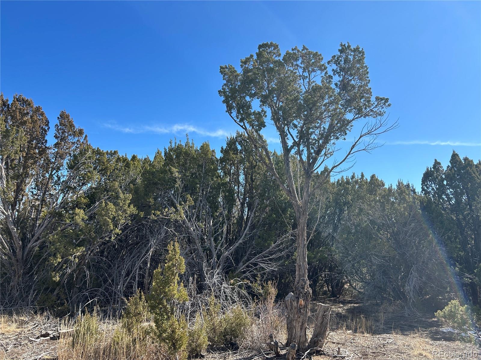 MLS Image #21 for 250  mt mestas drive,walsenburg, Colorado