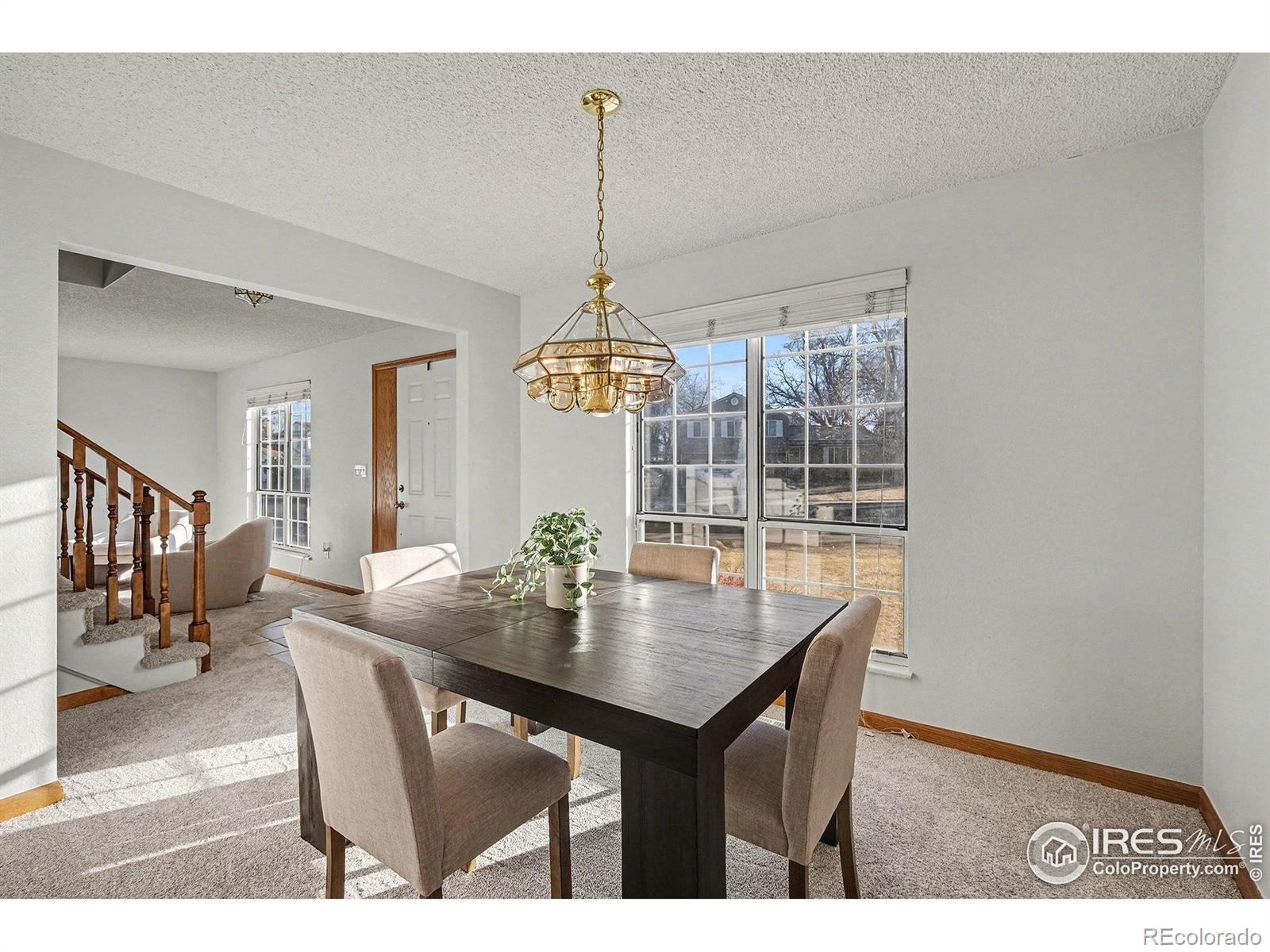 MLS Image #10 for 3841  ash avenue,loveland, Colorado