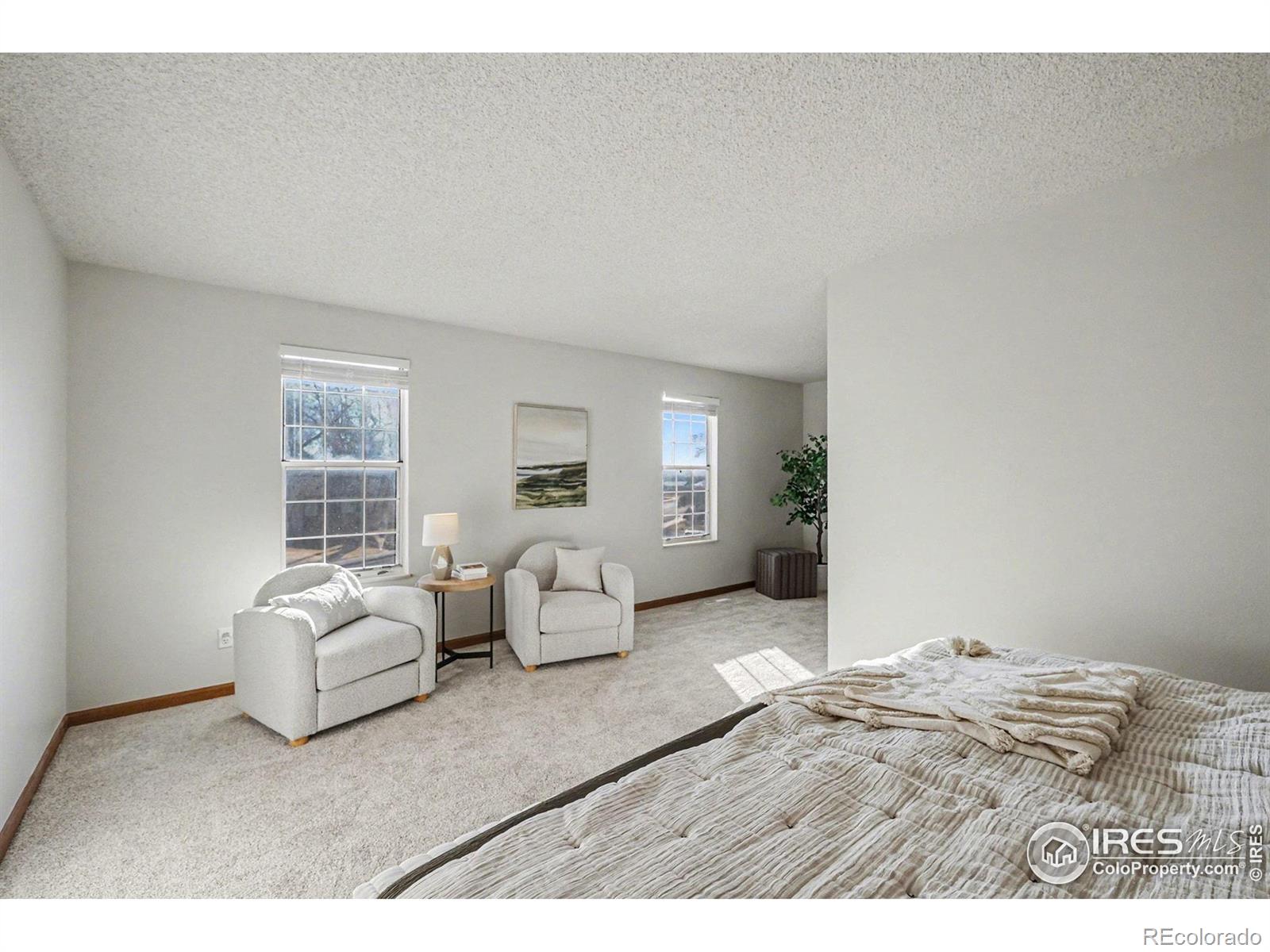 MLS Image #14 for 3841  ash avenue,loveland, Colorado
