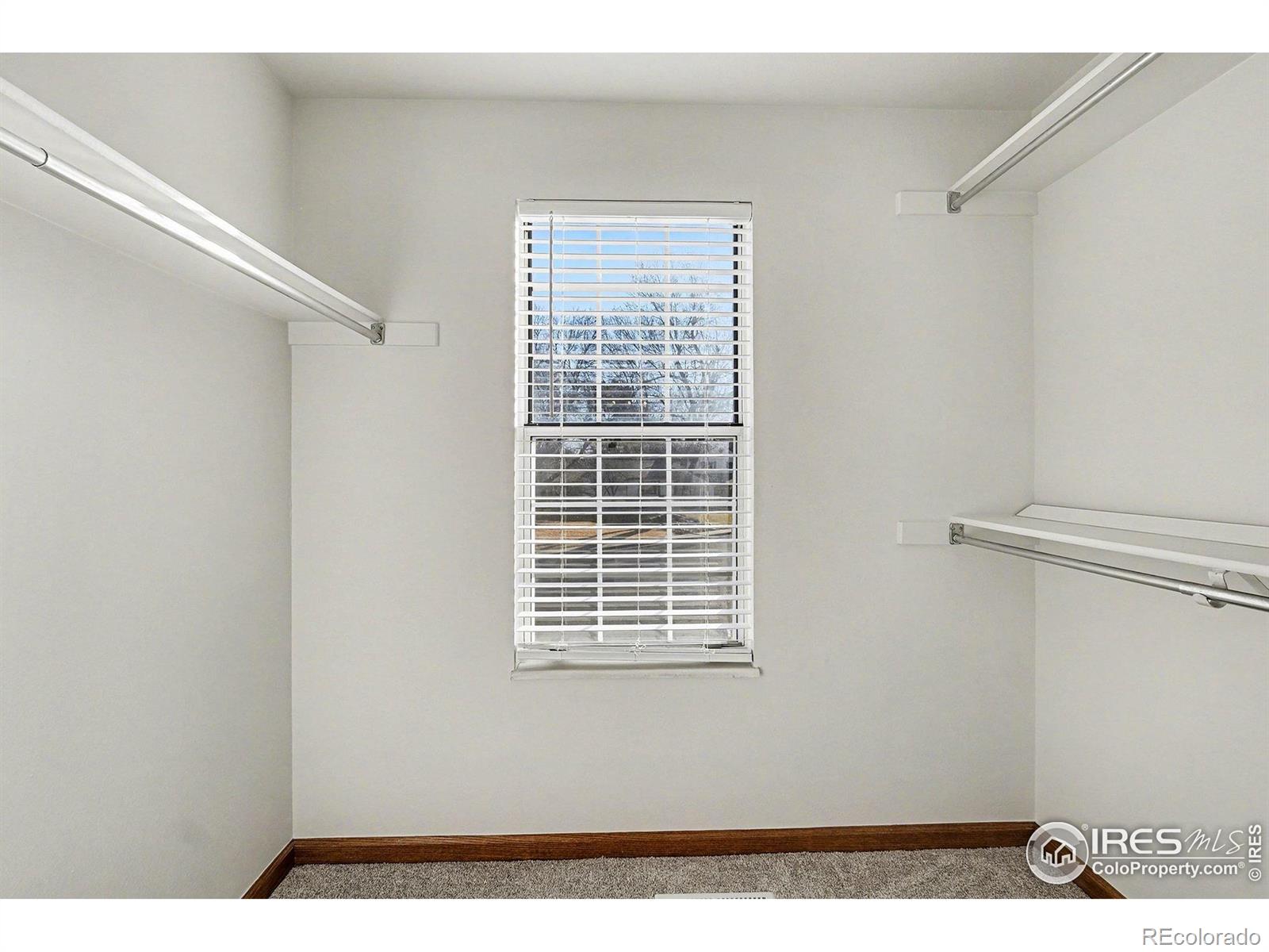 MLS Image #16 for 3841  ash avenue,loveland, Colorado