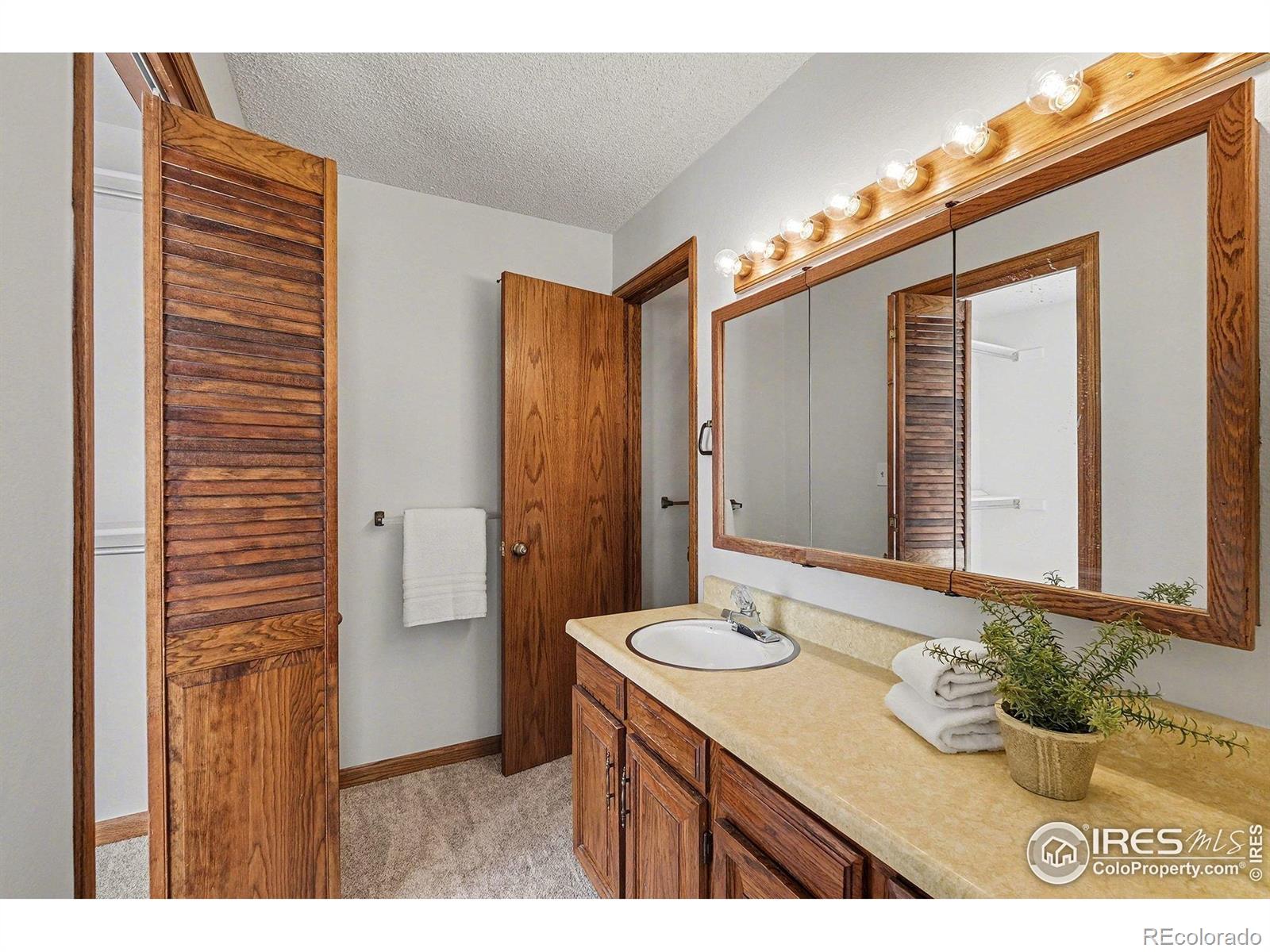 MLS Image #17 for 3841  ash avenue,loveland, Colorado