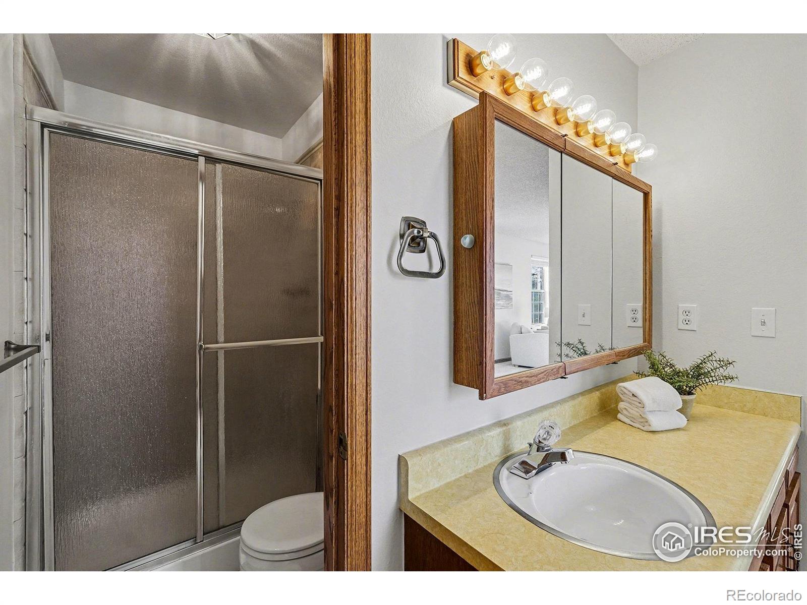 MLS Image #18 for 3841  ash avenue,loveland, Colorado