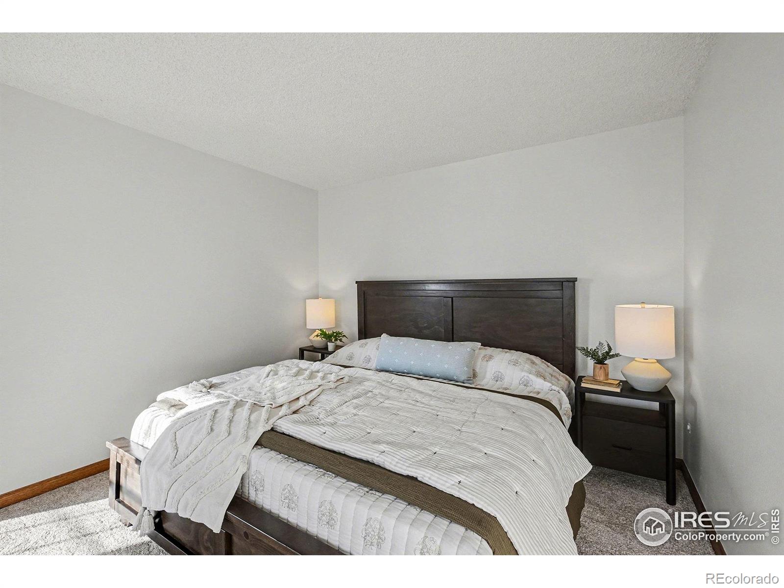 MLS Image #19 for 3841  ash avenue,loveland, Colorado
