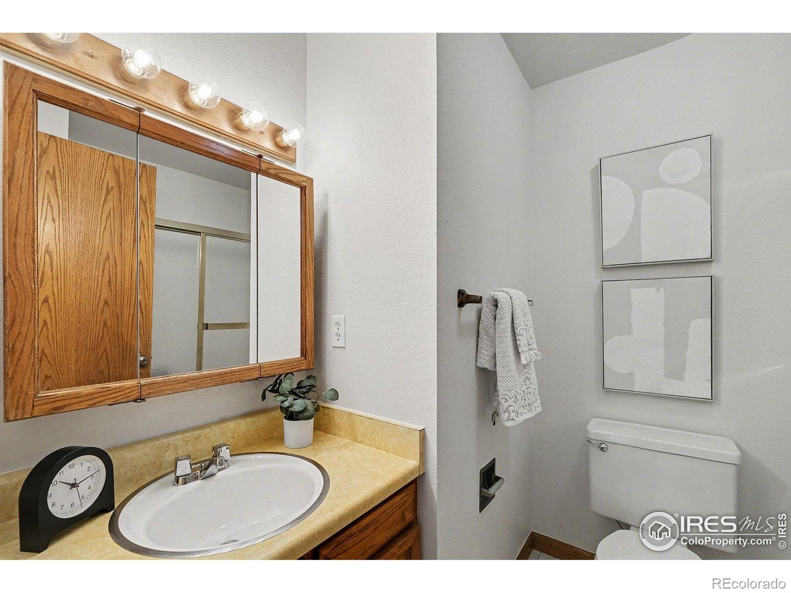 MLS Image #20 for 3841  ash avenue,loveland, Colorado