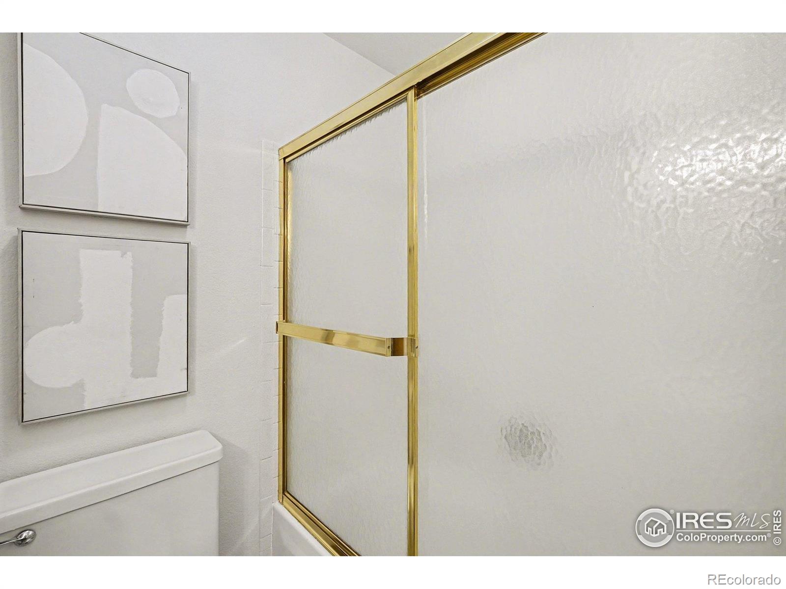 MLS Image #21 for 3841  ash avenue,loveland, Colorado