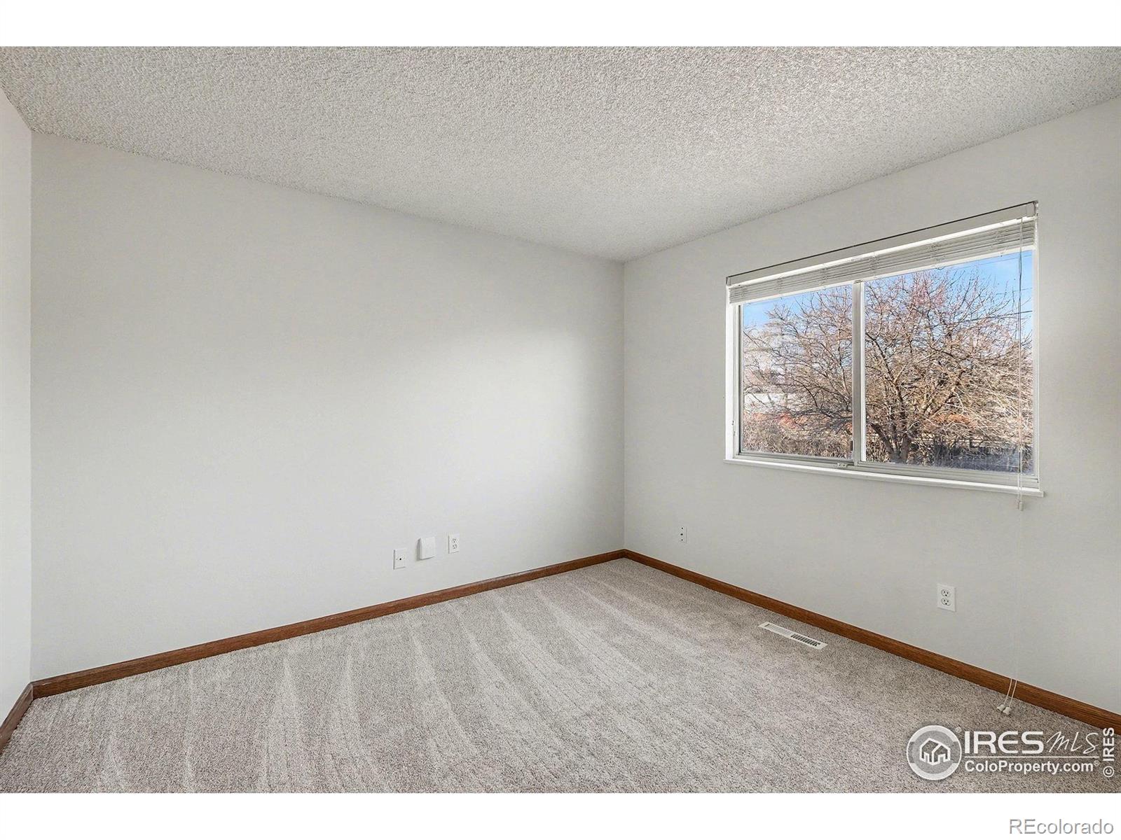 MLS Image #22 for 3841  ash avenue,loveland, Colorado