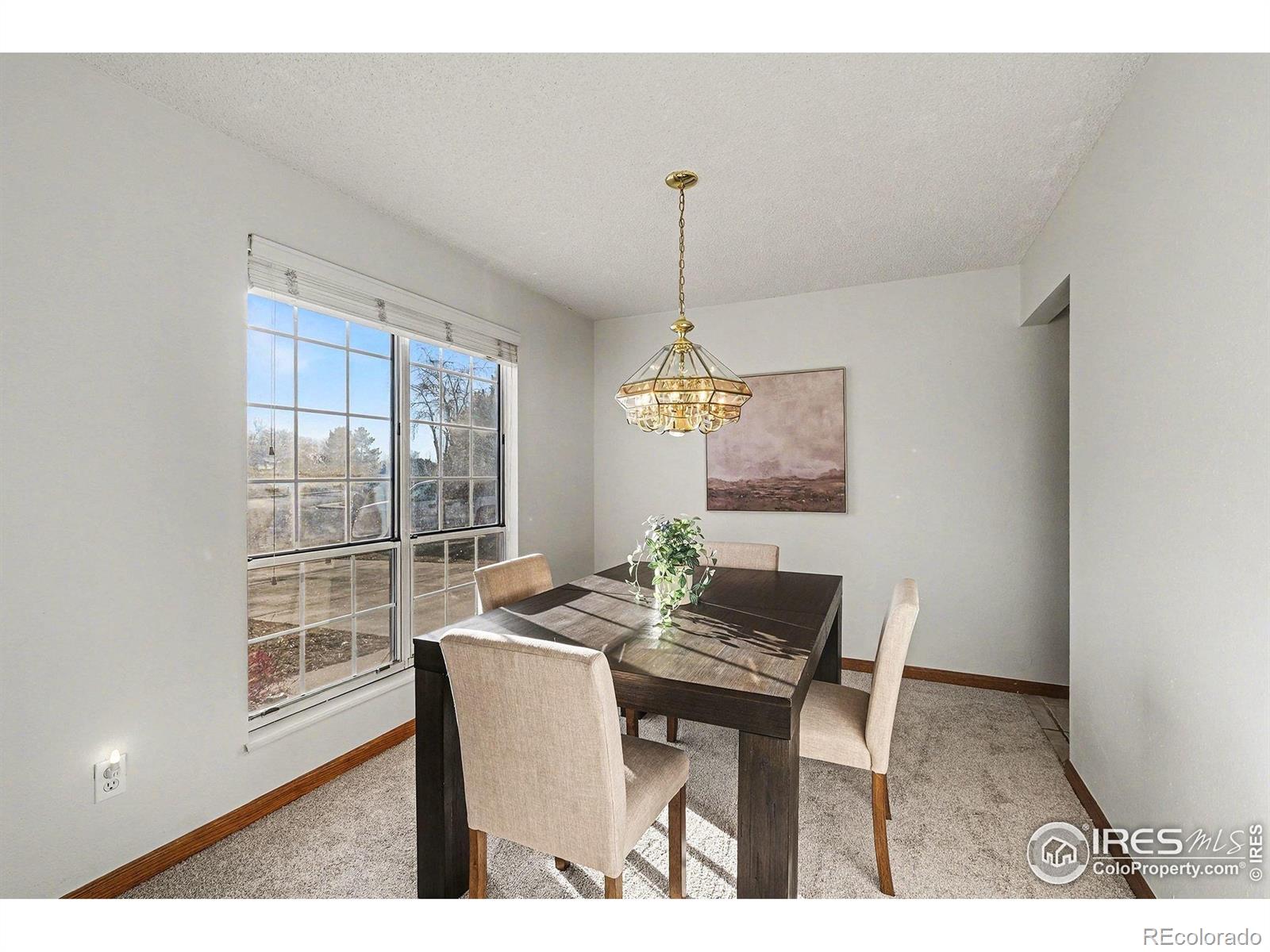 MLS Image #9 for 3841  ash avenue,loveland, Colorado