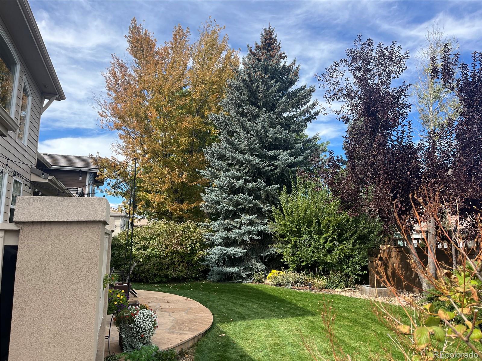 MLS Image #44 for 2519  greensborough drive,highlands ranch, Colorado
