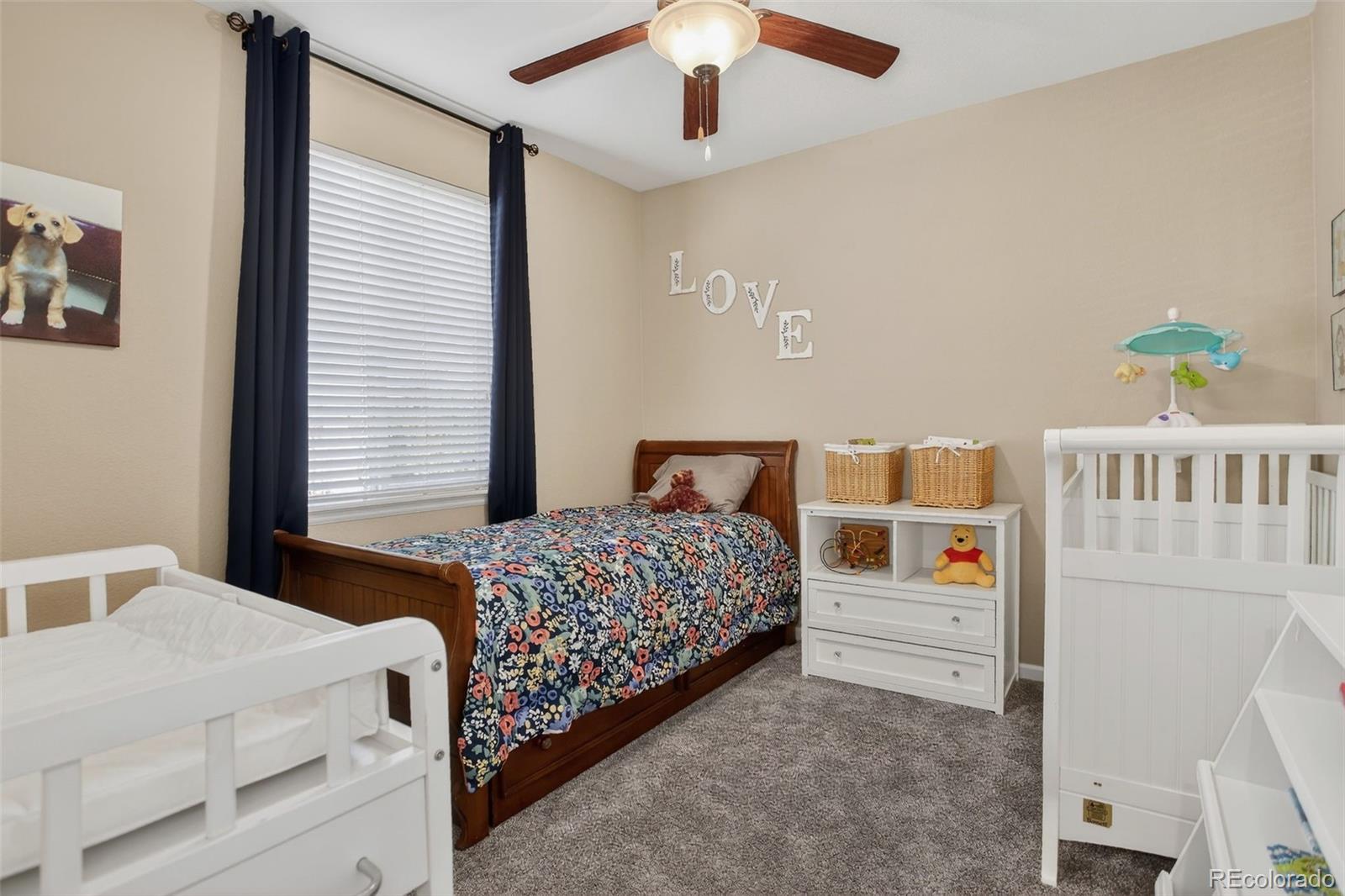 MLS Image #26 for 3100  mccracken lane,castle rock, Colorado