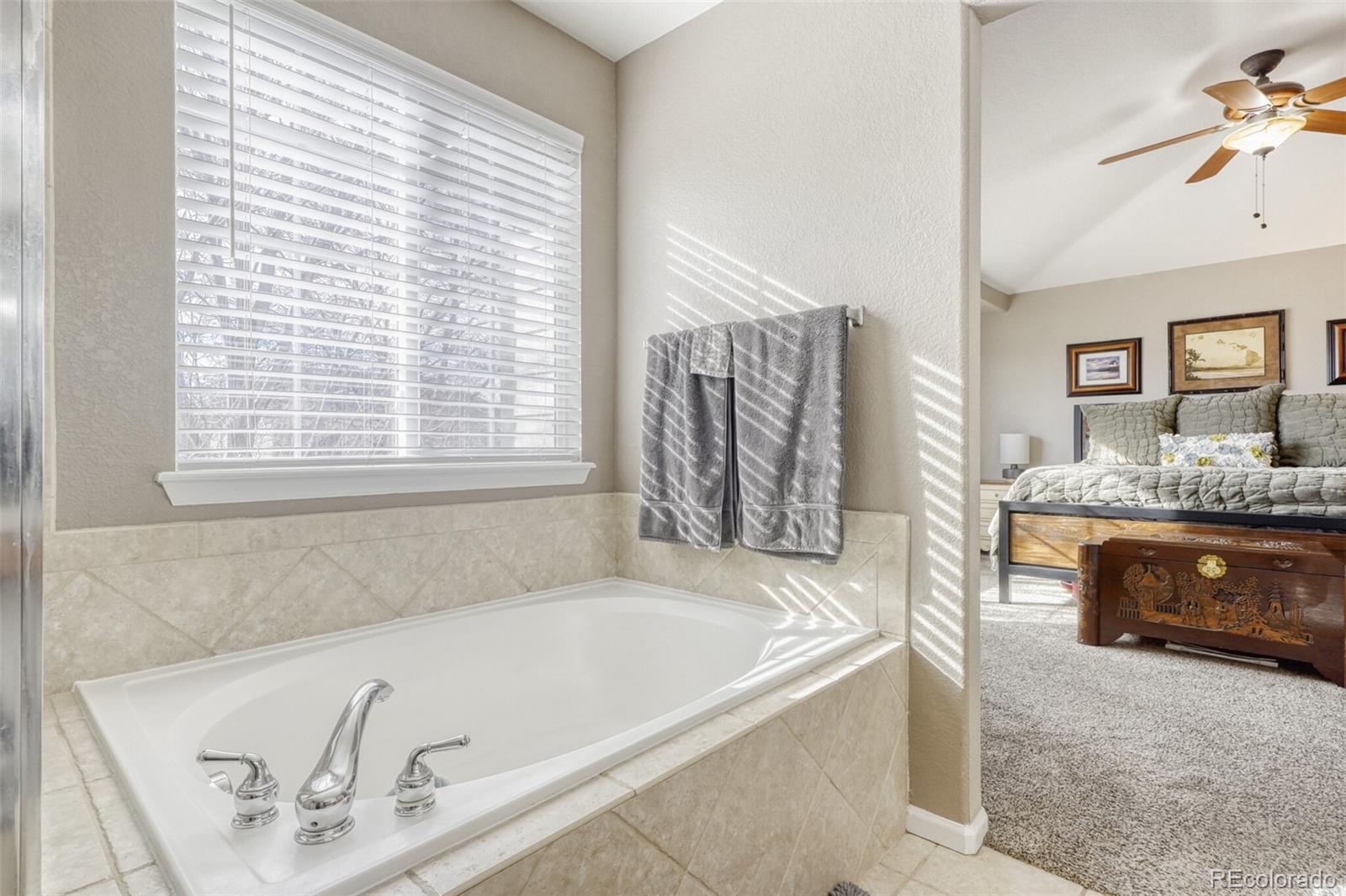 MLS Image #16 for 9783  cheewall lane,parker, Colorado