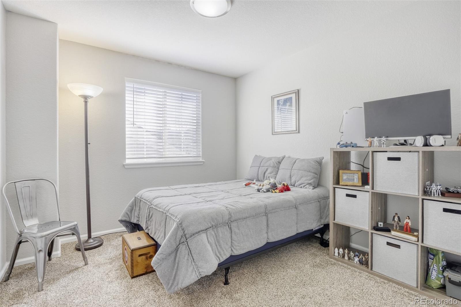 MLS Image #17 for 9783  cheewall lane,parker, Colorado