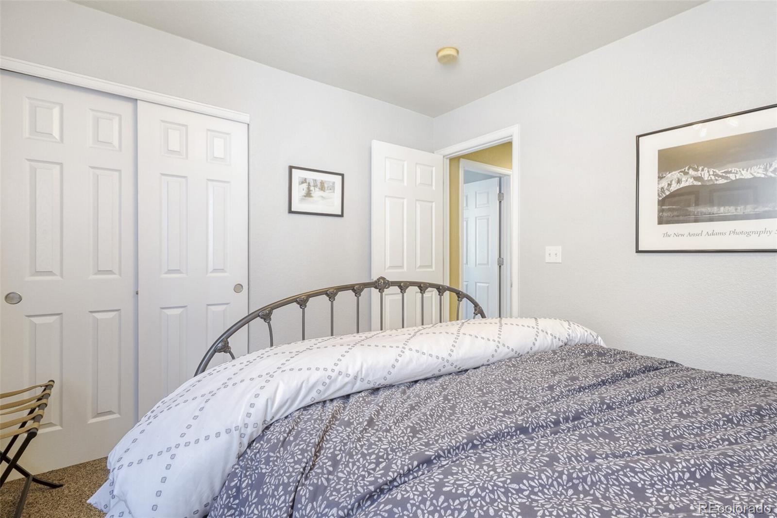 MLS Image #19 for 9783  cheewall lane,parker, Colorado