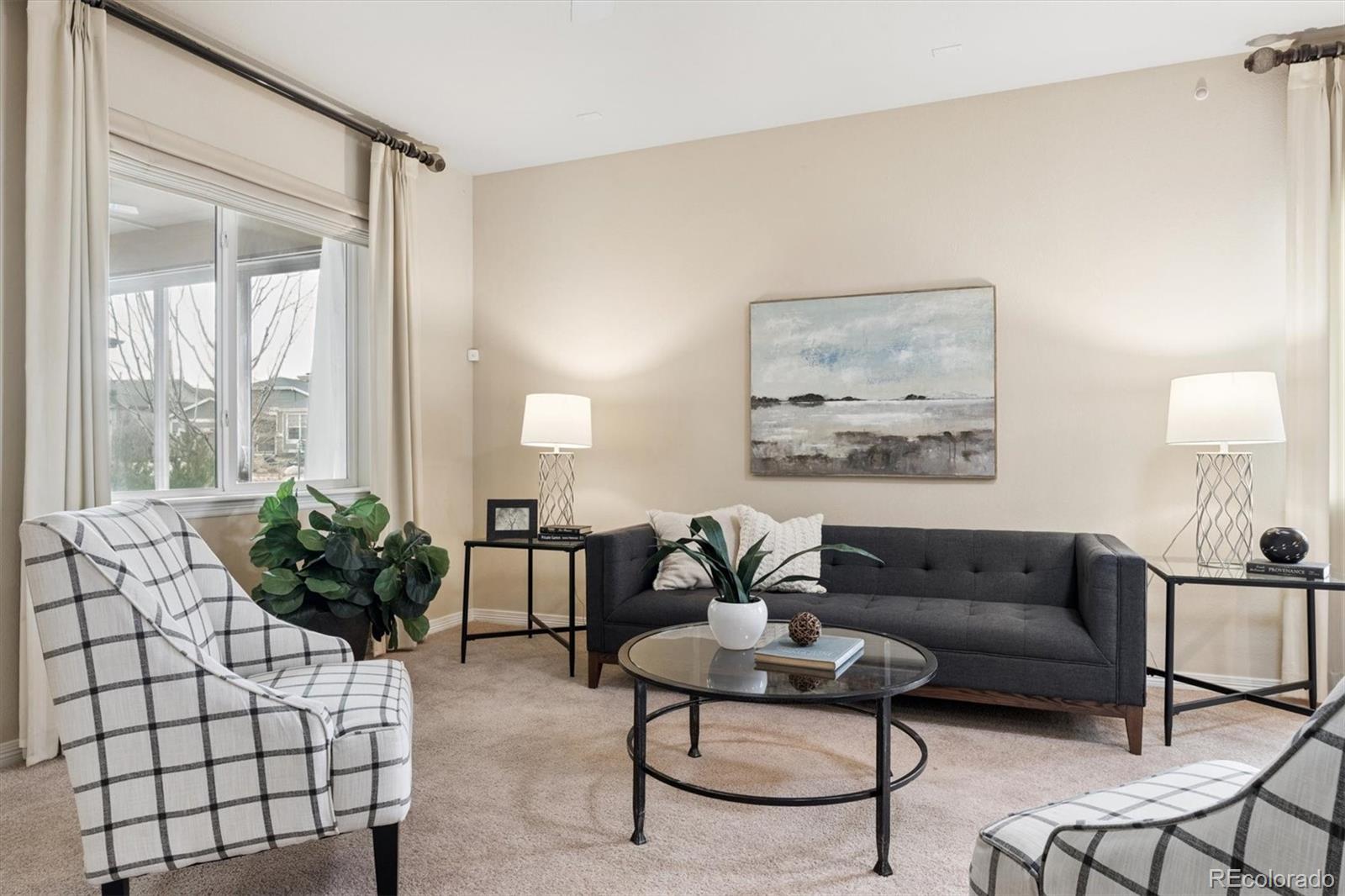 MLS Image #11 for 15235  willow drive,brighton, Colorado