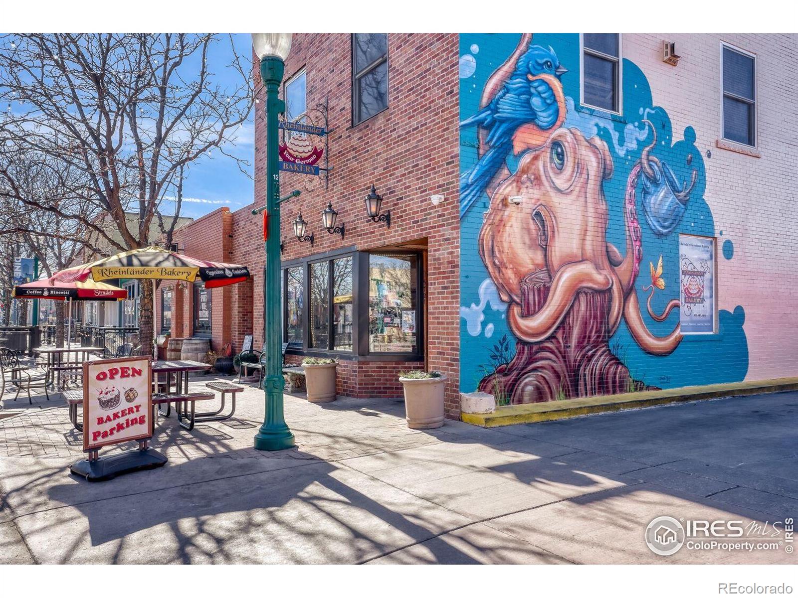 MLS Image #29 for 6658  cole court,arvada, Colorado