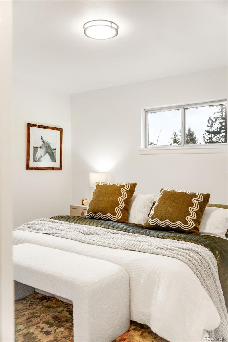 MLS Image #17 for 34657  mohawk trail,pine, Colorado