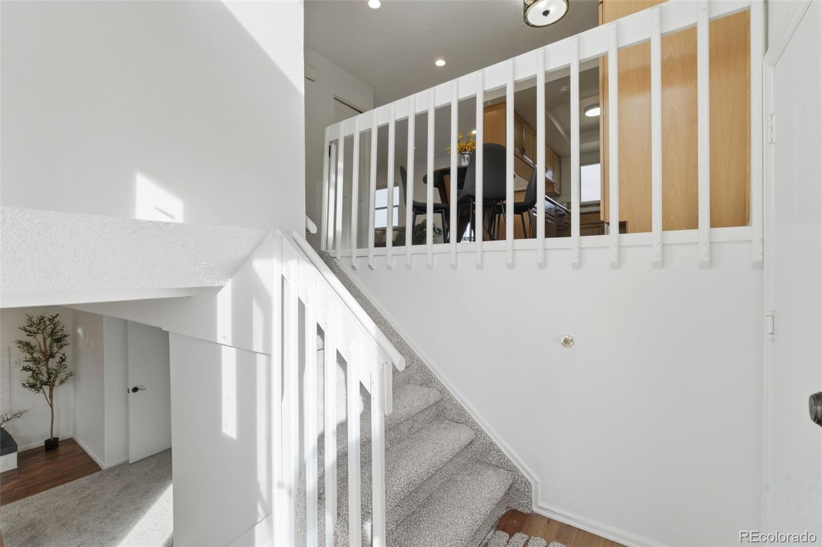 MLS Image #12 for 4886 s jellison street,littleton, Colorado