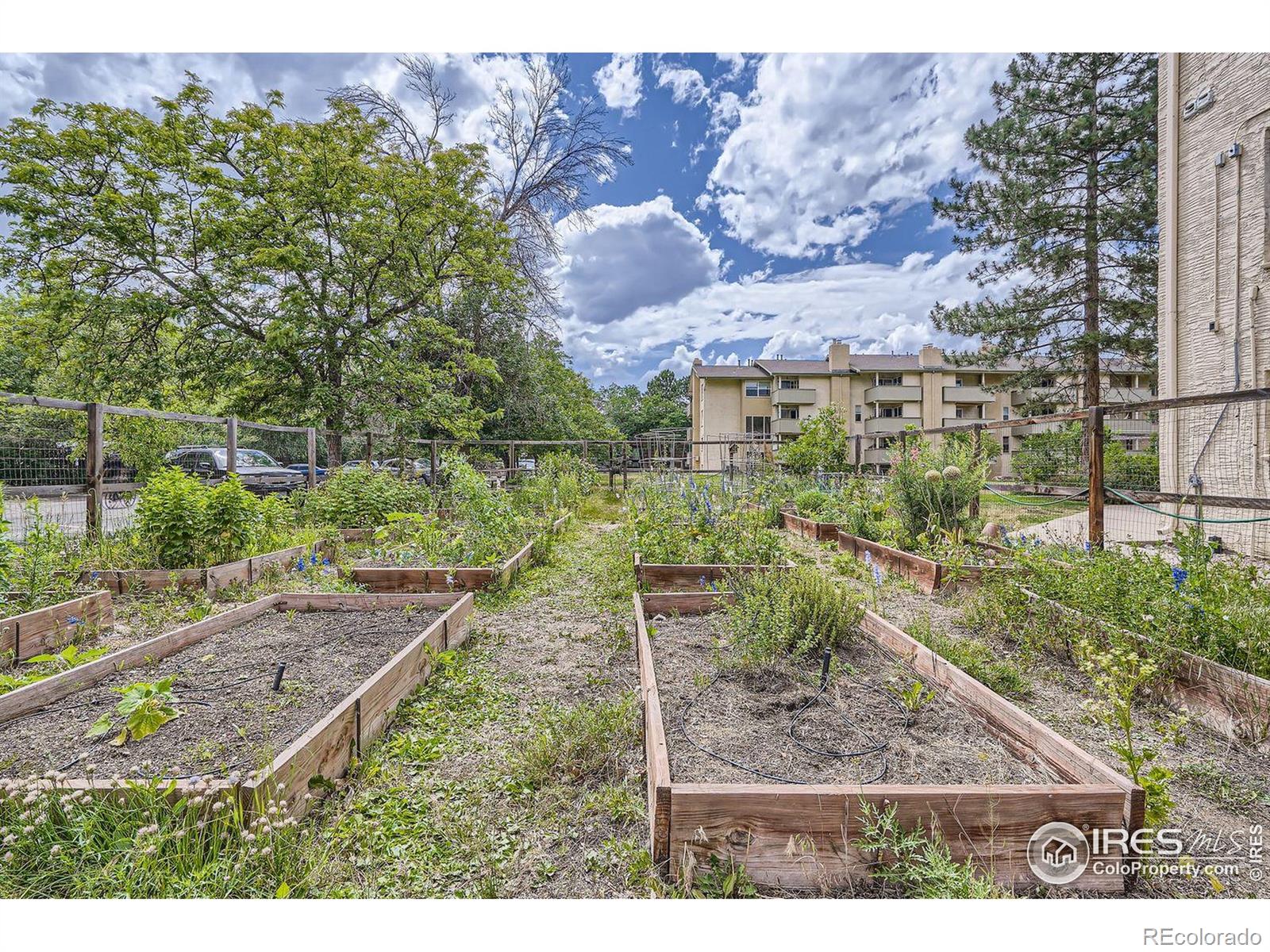MLS Image #27 for 3030  oneal parkway,boulder, Colorado