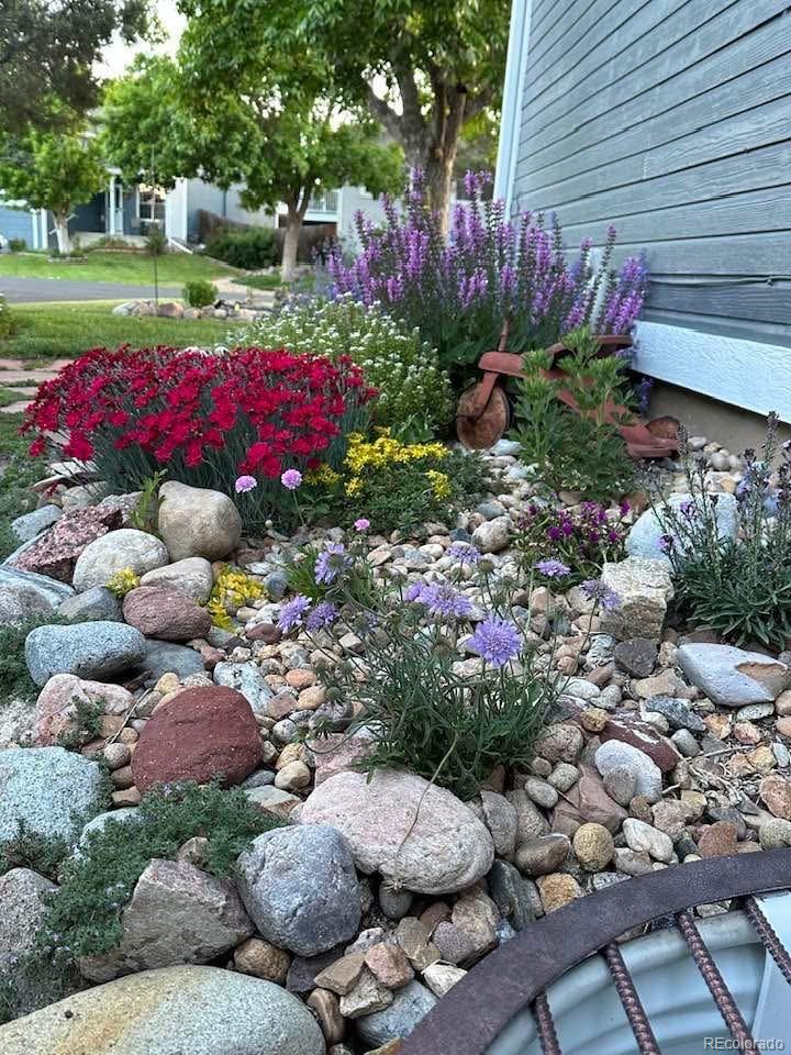 MLS Image #32 for 8620  wildrye circle,parker, Colorado