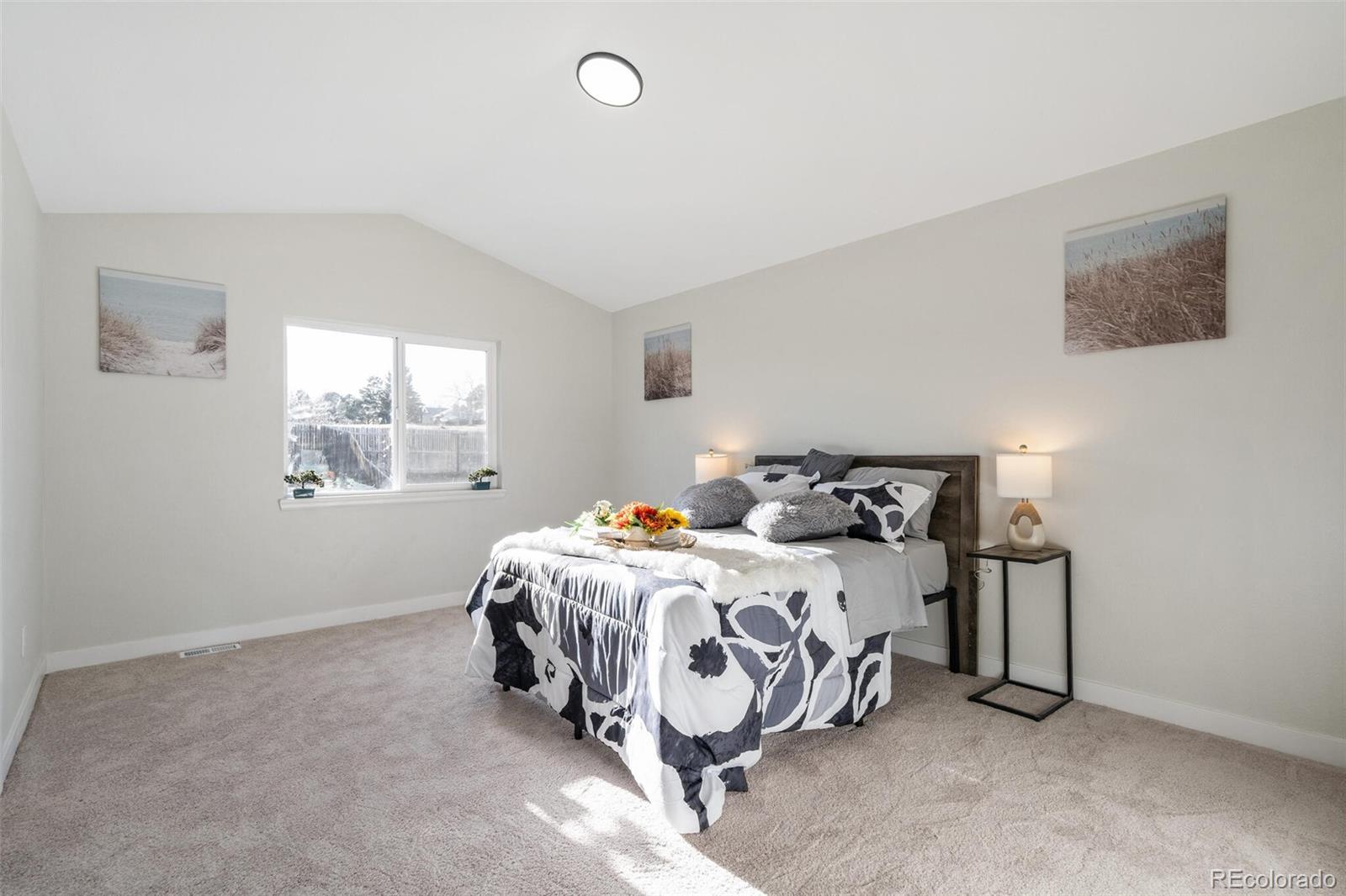 MLS Image #14 for 3843 s gibralter street,aurora, Colorado