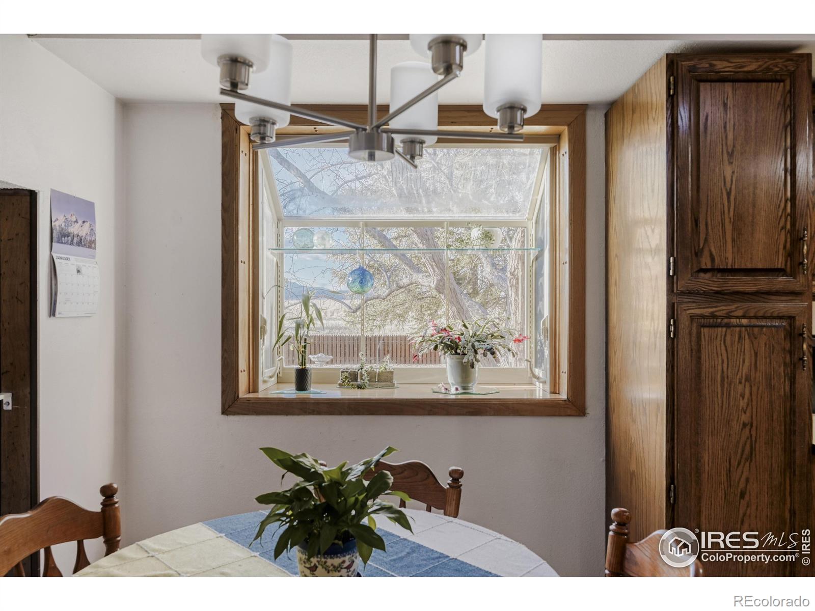 MLS Image #10 for 1179  lilac street,broomfield, Colorado