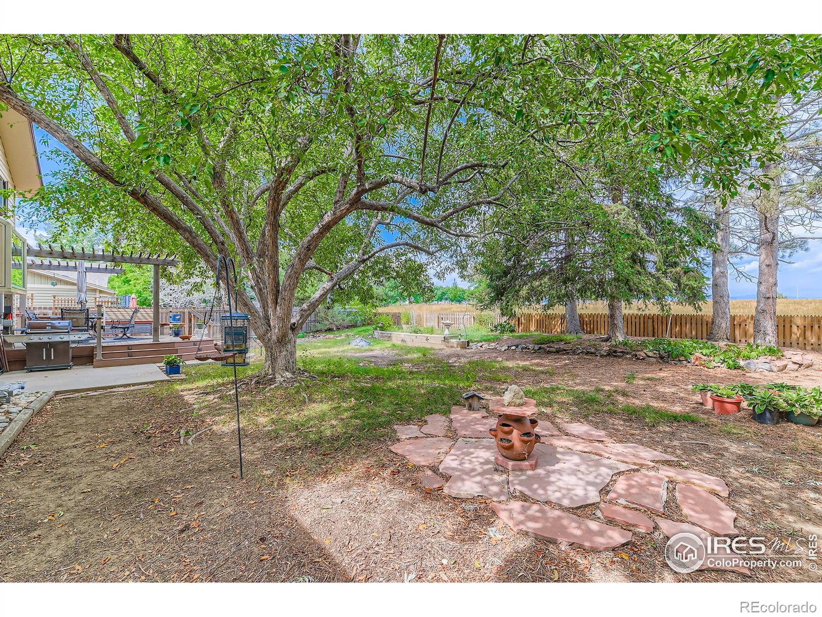 MLS Image #17 for 1179  lilac street,broomfield, Colorado