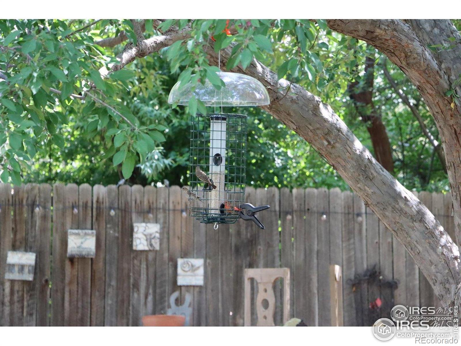MLS Image #18 for 1179  lilac street,broomfield, Colorado