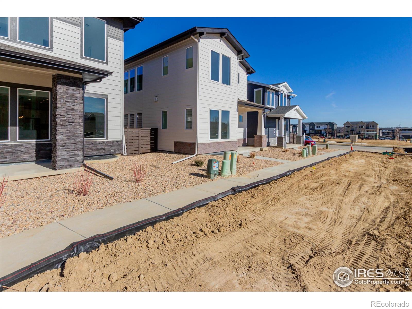 MLS Image #4 for 674  apex street,erie, Colorado
