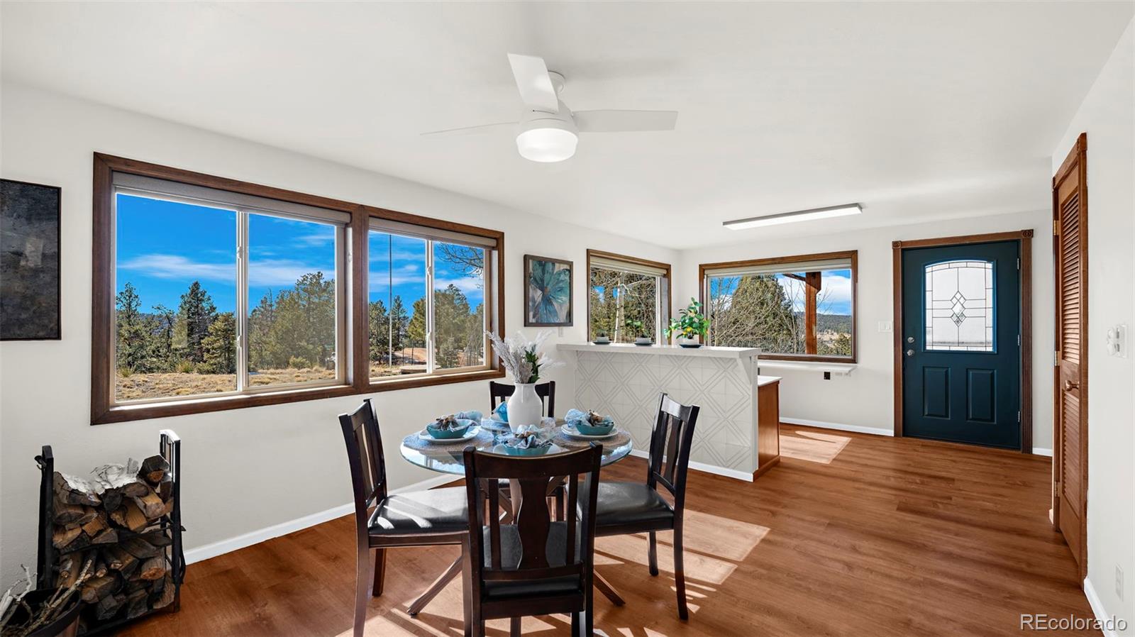 MLS Image #10 for 950  southpark road,florissant, Colorado