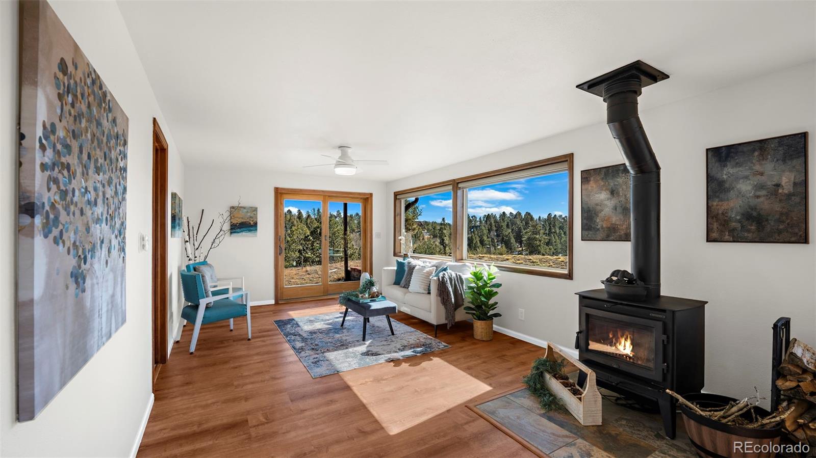 MLS Image #11 for 950  southpark road,florissant, Colorado