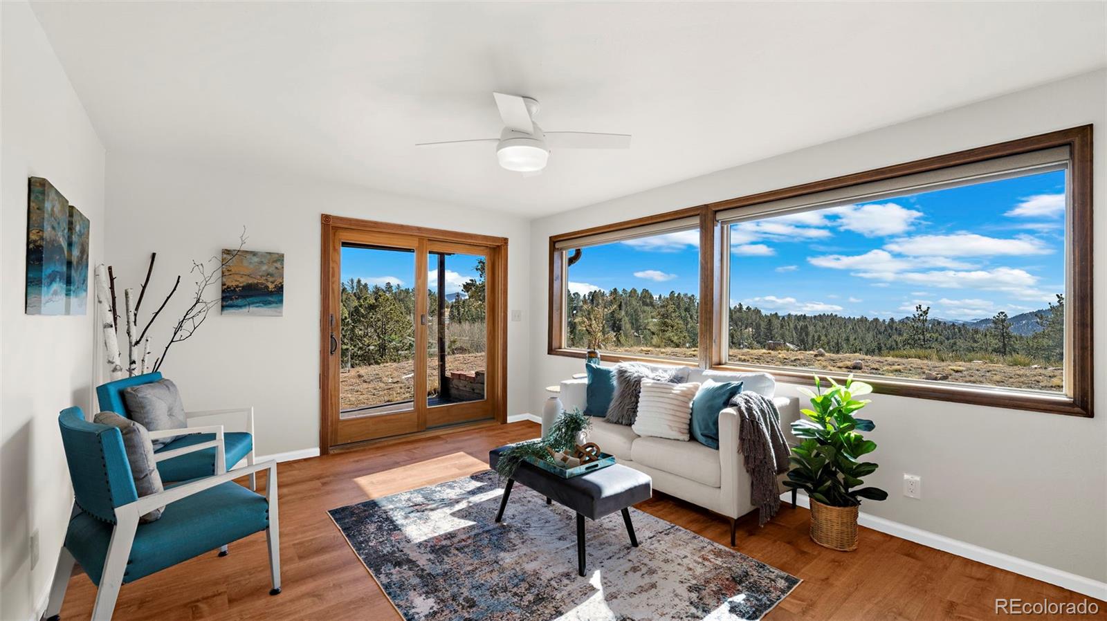 MLS Image #12 for 950  southpark road,florissant, Colorado
