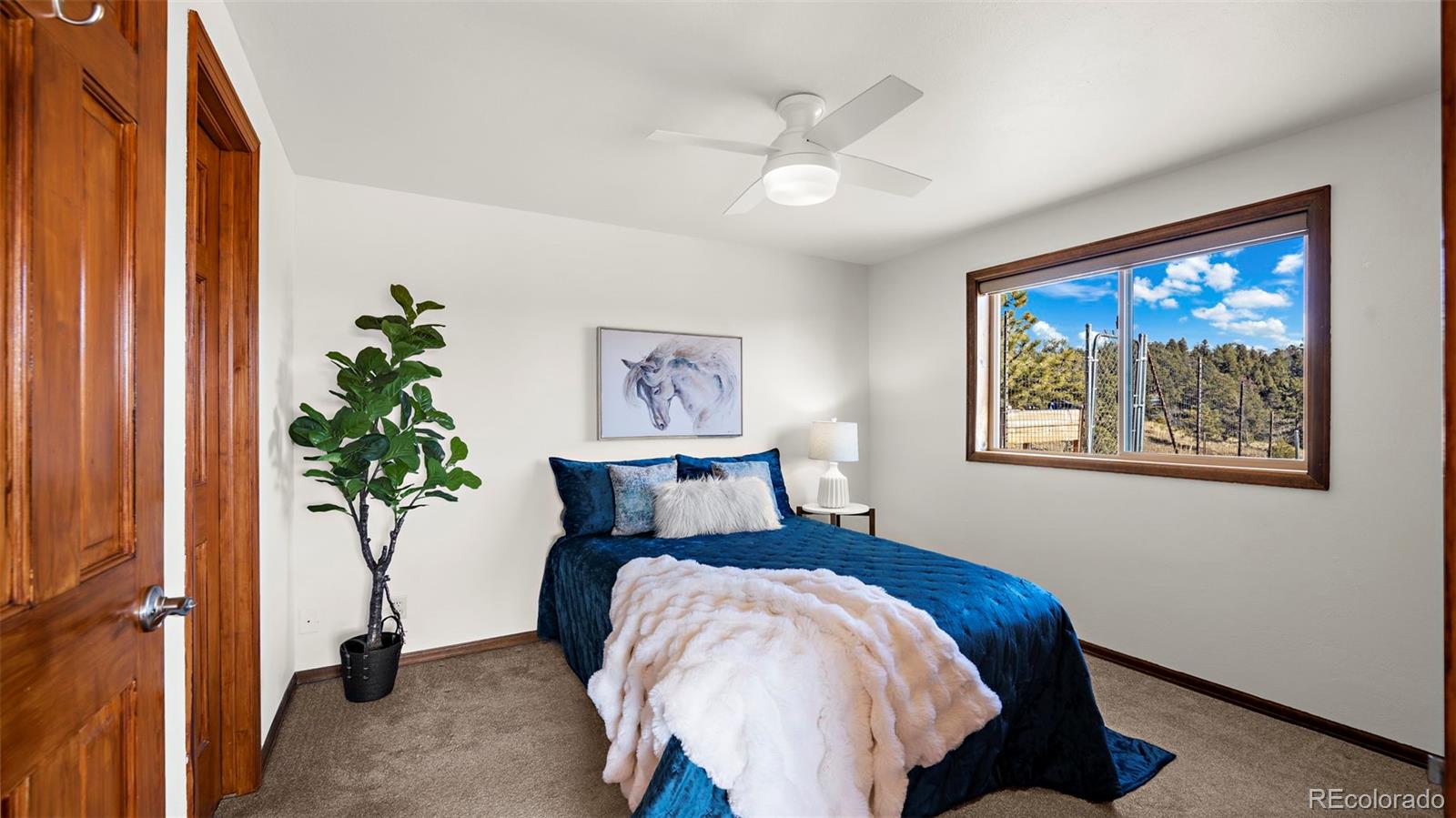 MLS Image #14 for 950  southpark road,florissant, Colorado