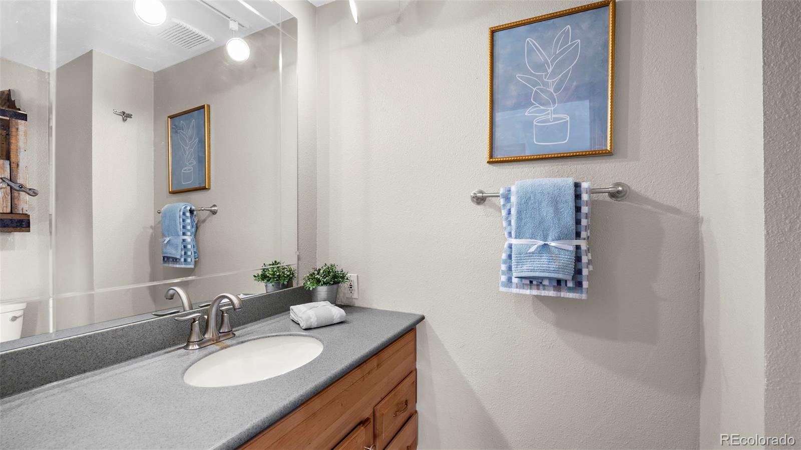 MLS Image #16 for 950  southpark road,florissant, Colorado