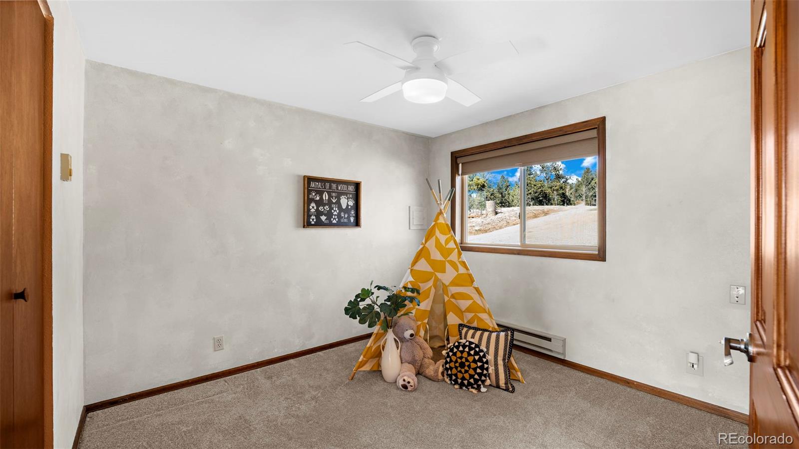 MLS Image #17 for 950  southpark road,florissant, Colorado