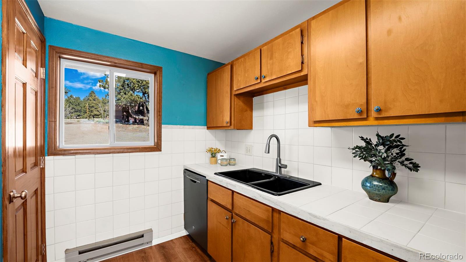 MLS Image #22 for 950  southpark road,florissant, Colorado