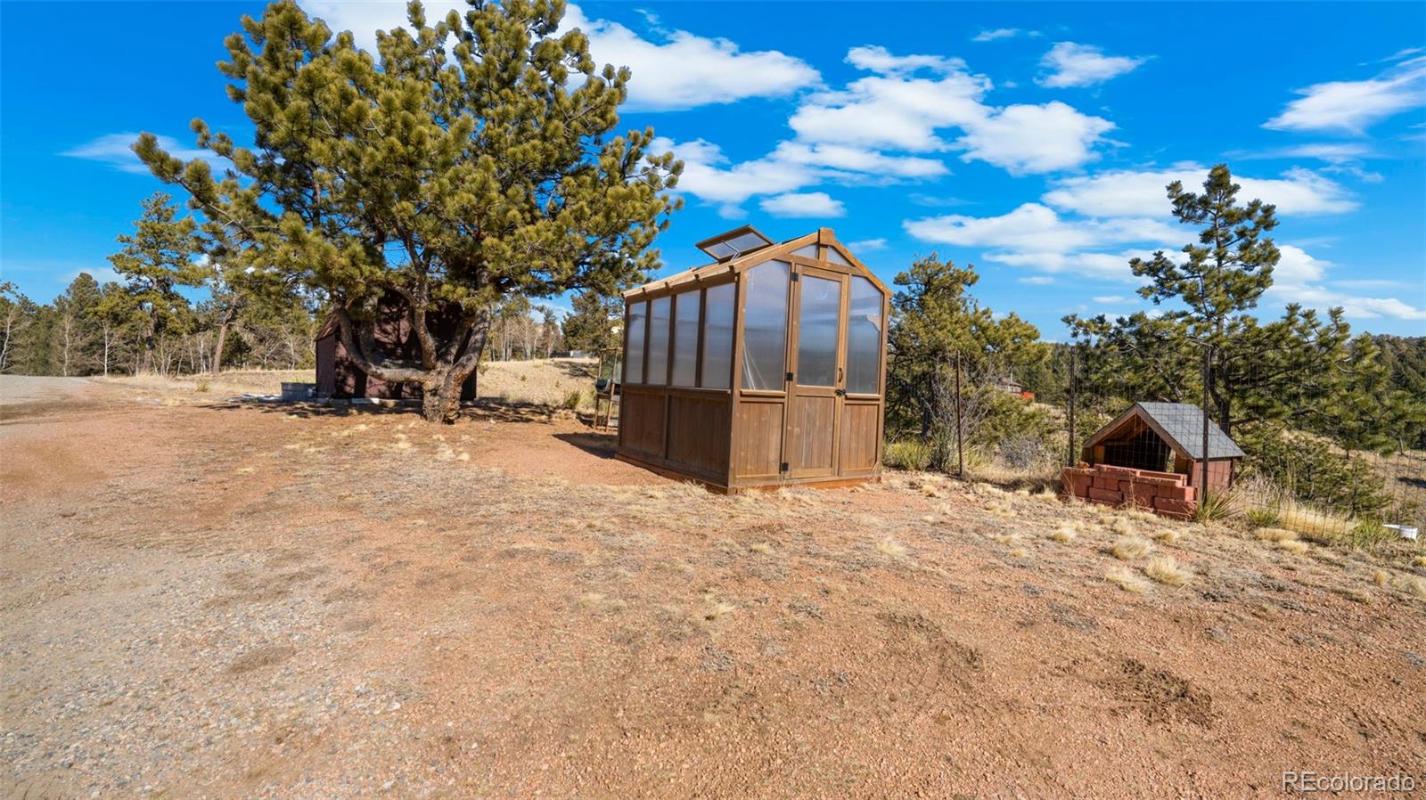 MLS Image #6 for 950  southpark road,florissant, Colorado