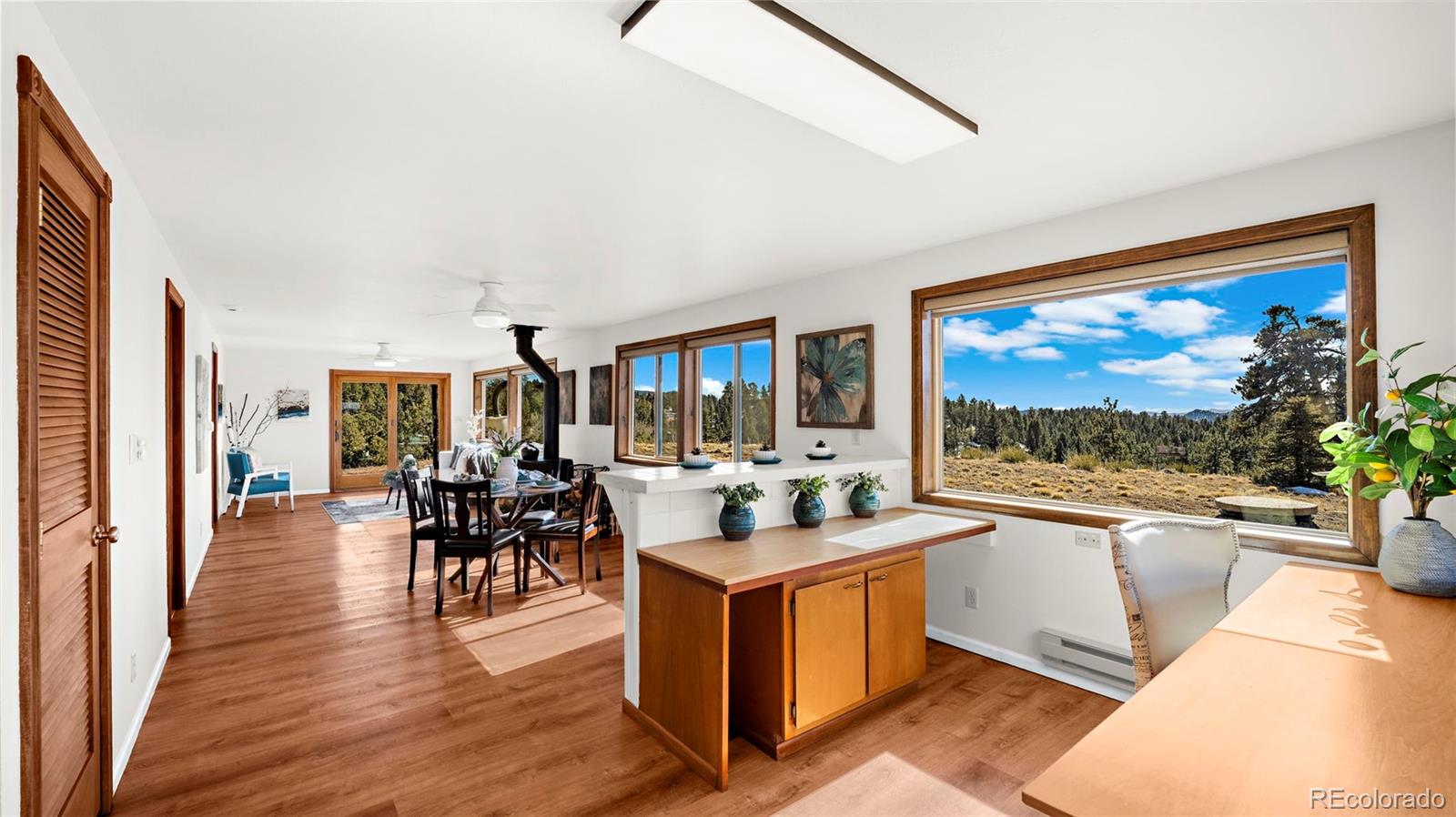 MLS Image #7 for 950  southpark road,florissant, Colorado
