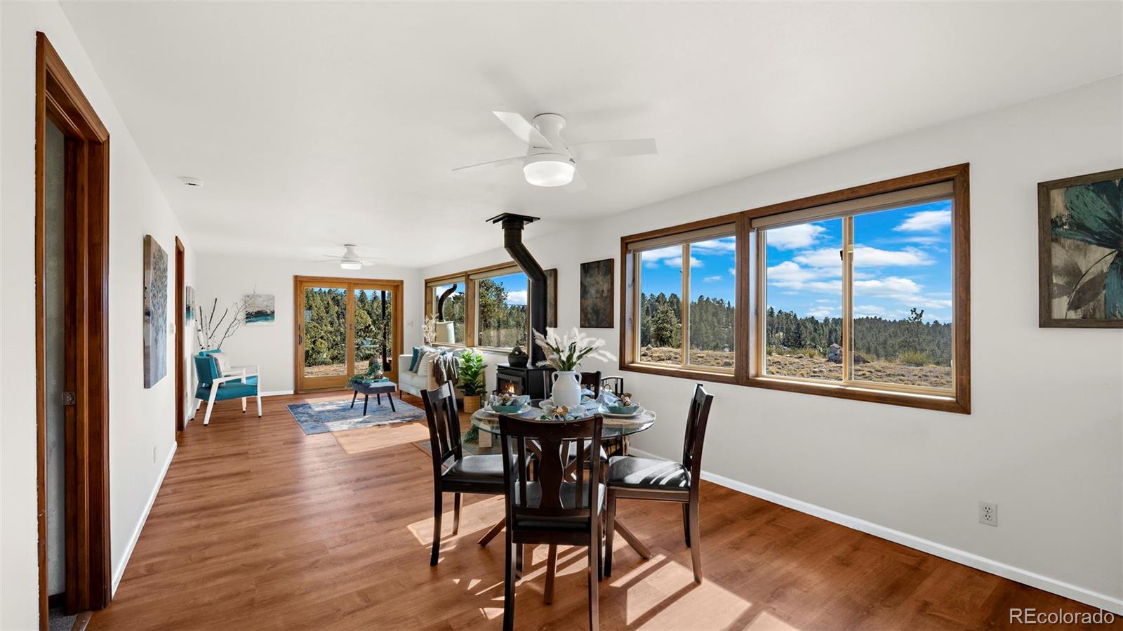 MLS Image #9 for 950  southpark road,florissant, Colorado