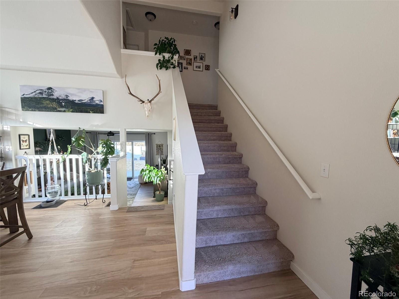 MLS Image #4 for 4469  mountain sky street,johnstown, Colorado