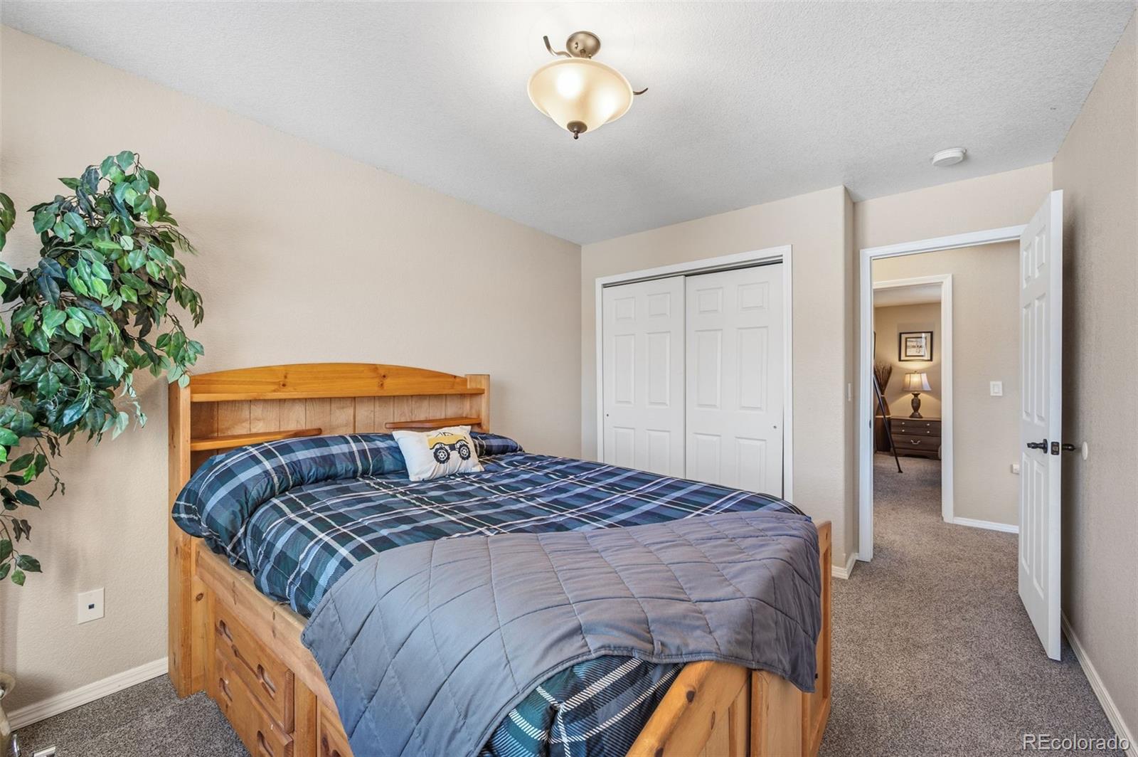 MLS Image #17 for 1755  columbine village drive,woodland park, Colorado