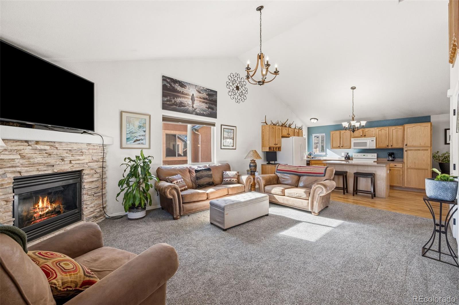 MLS Image #3 for 1755  columbine village drive,woodland park, Colorado