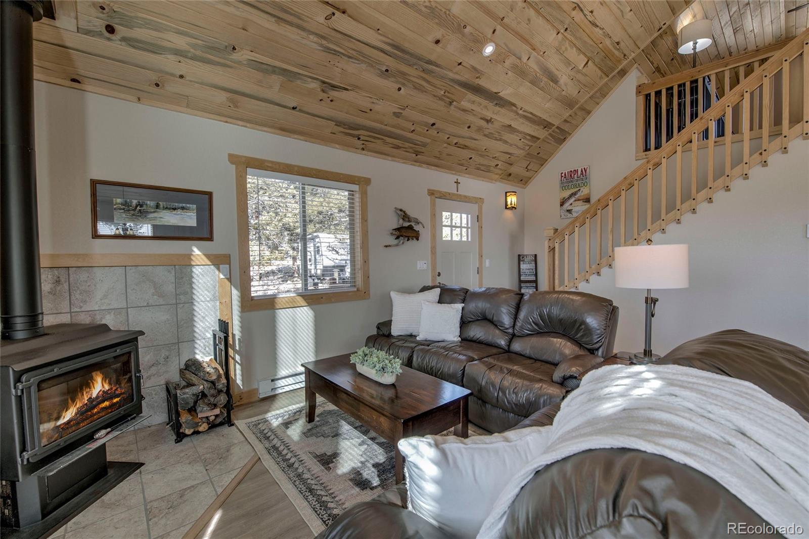 MLS Image #2 for 273  ridge road,fairplay, Colorado
